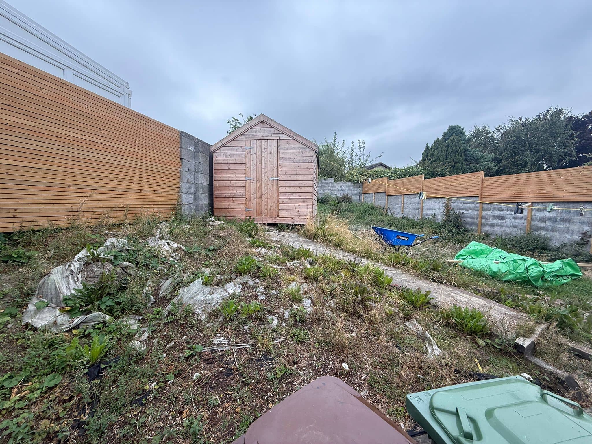 garden transformation 13