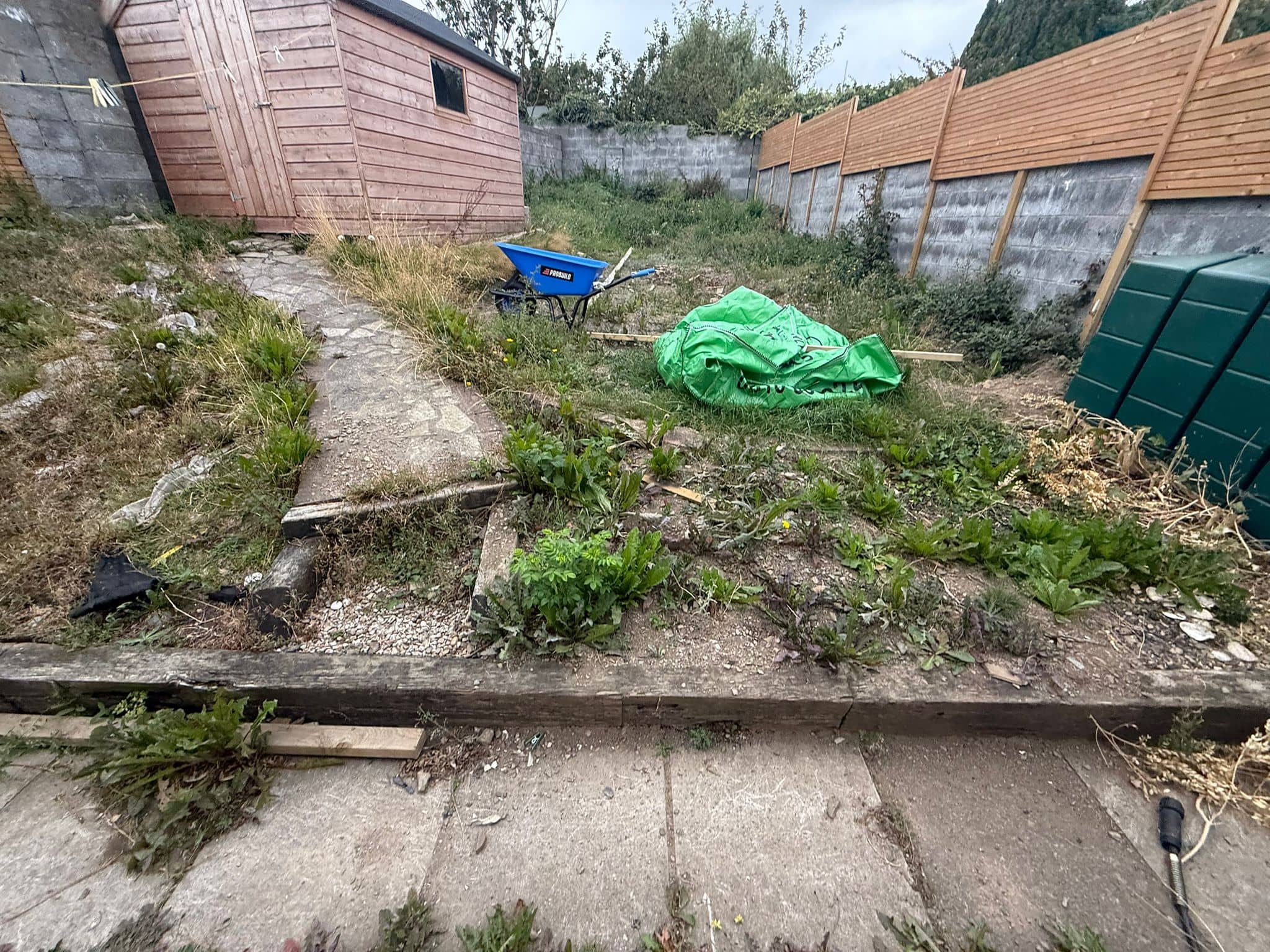 garden transformation 17