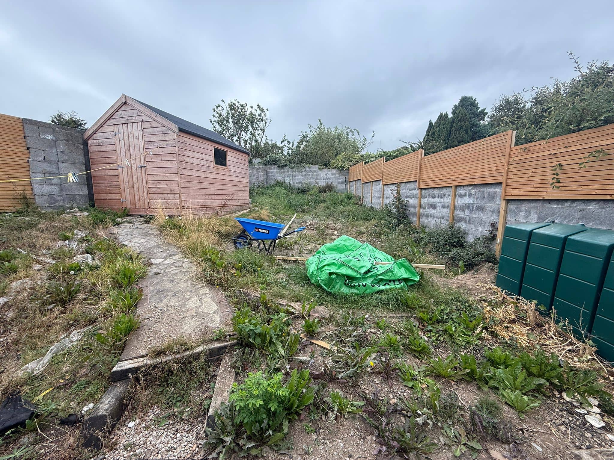 garden before transformation