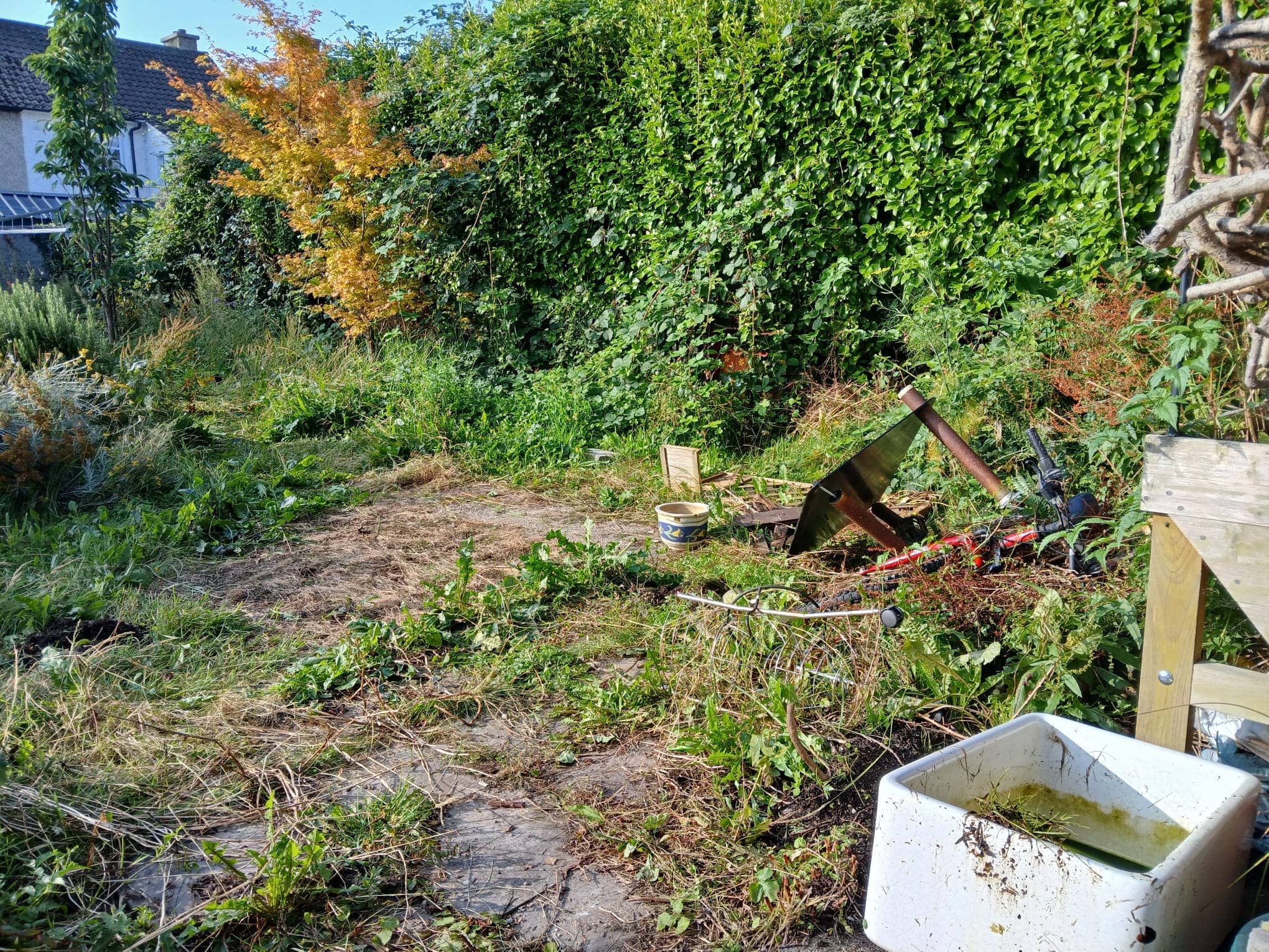 garden renovation 29