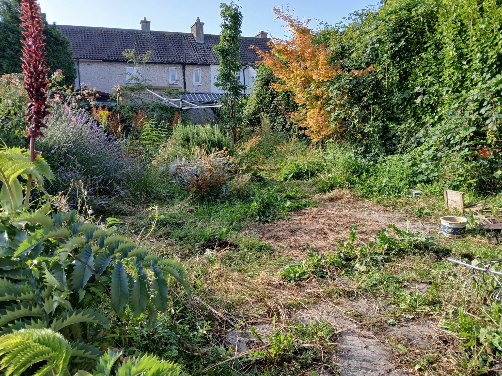 garden renovation 33