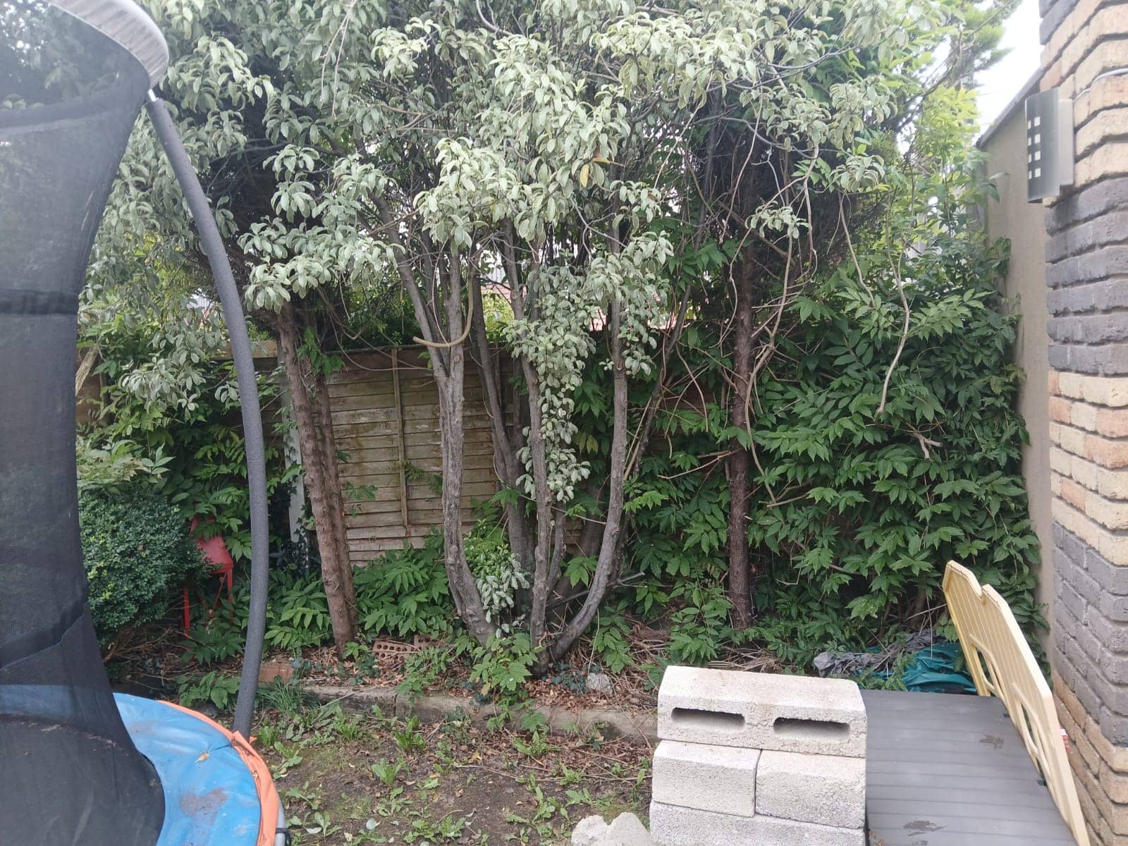 garden renovation 36