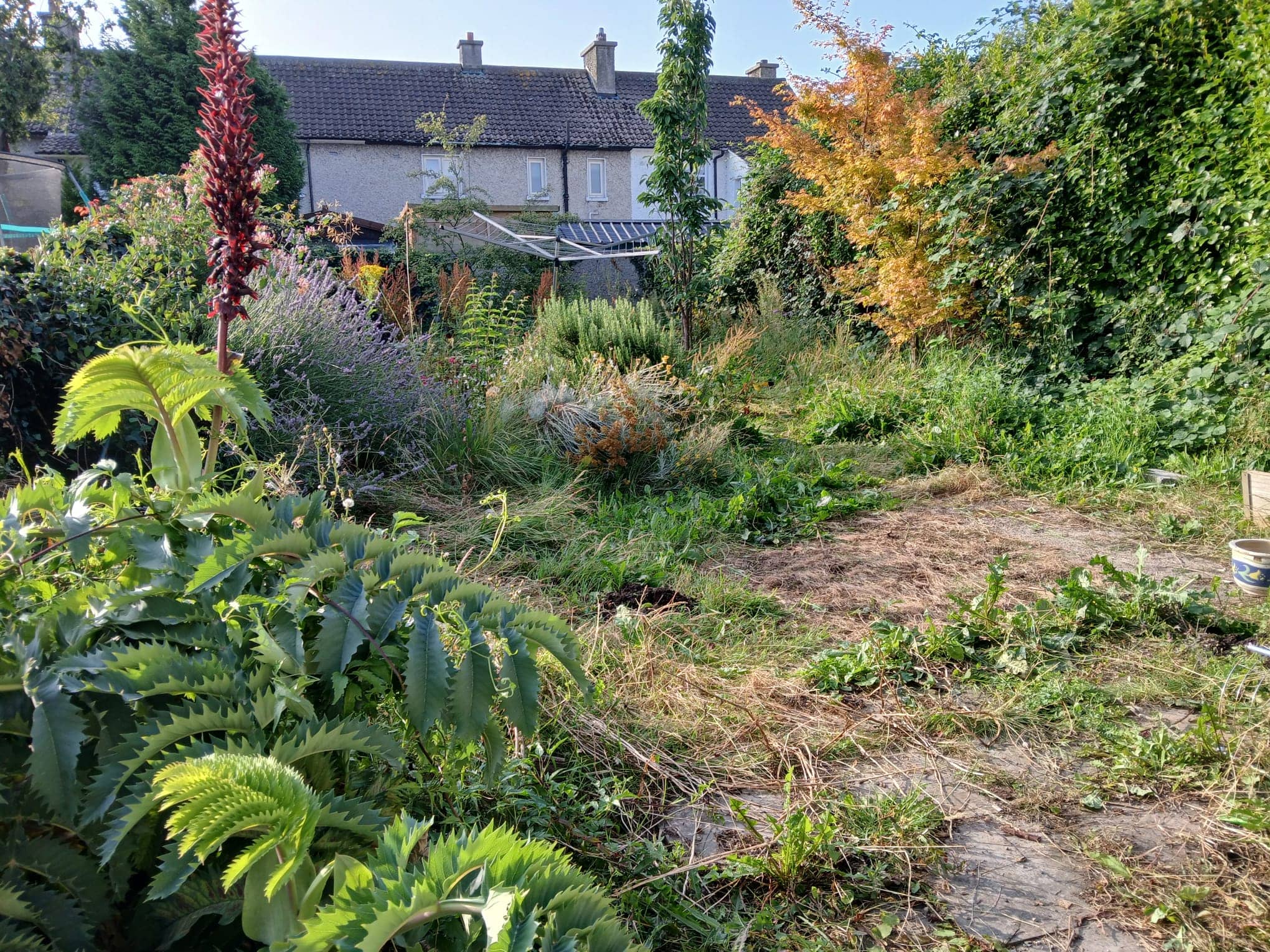 garden renovation 40