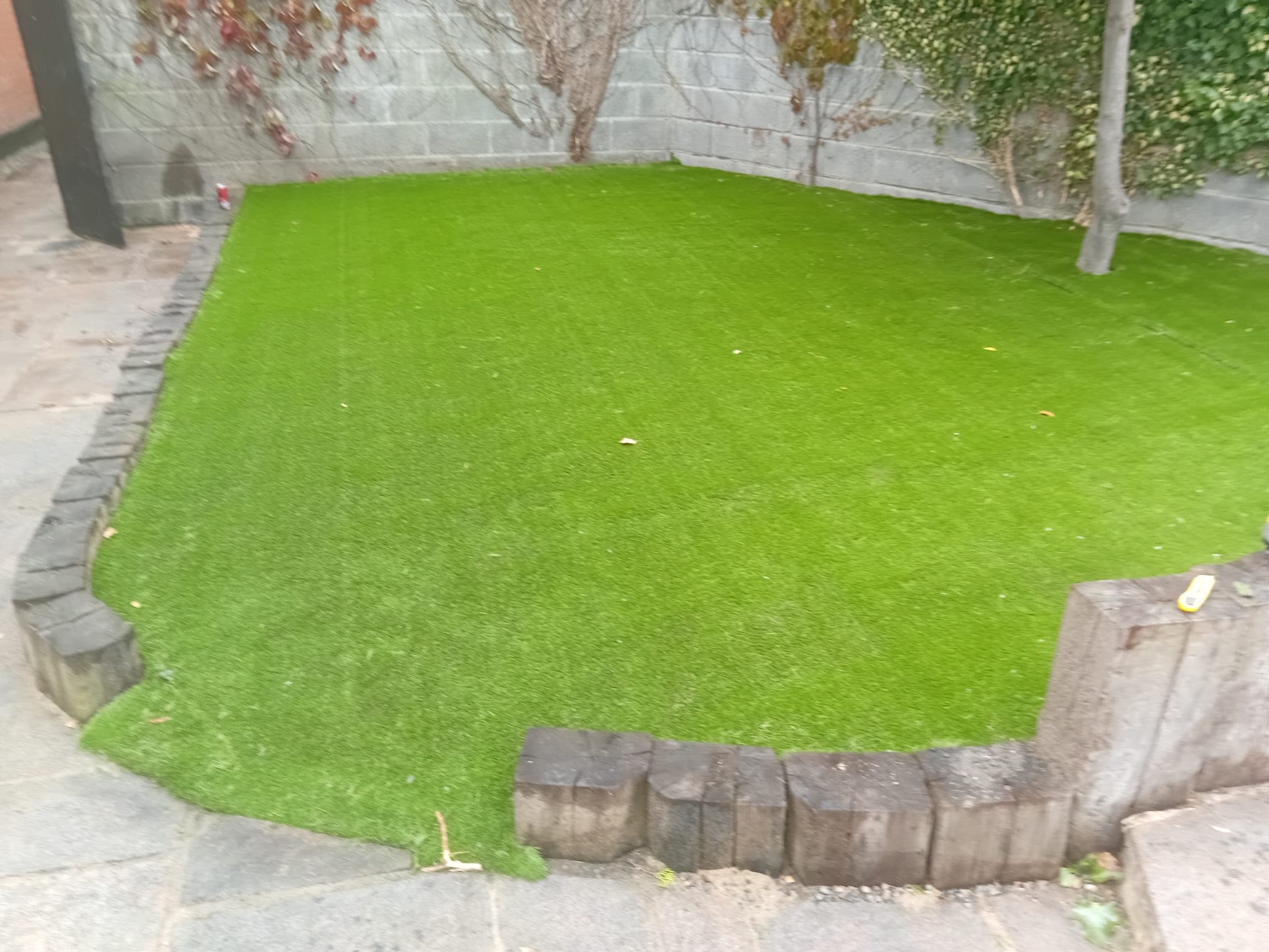 low maintenance garden after landscaping