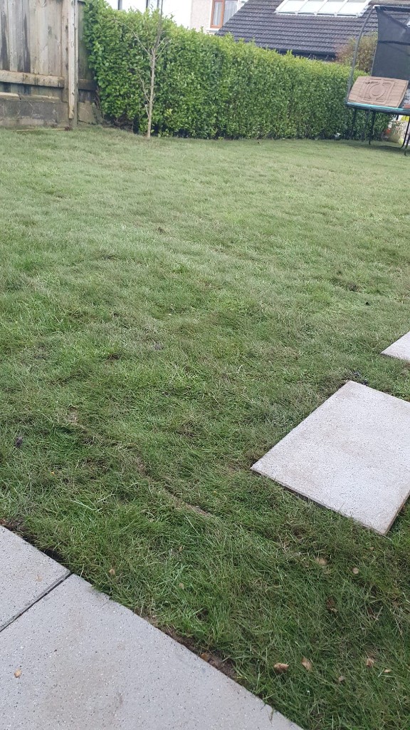 garden wall